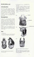 Hoverflies of Nothwest Europe - Identification kesy to the Syrphidae - van Veen,M.V. 2010